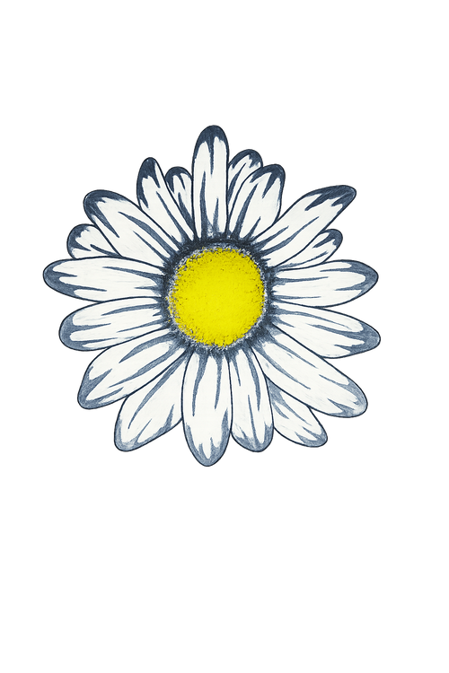 L'atelier des soeurs